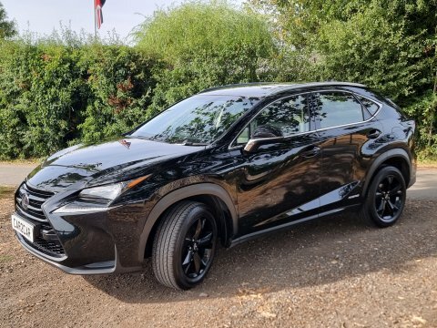 Lexus NX 2.5 300H Sport E-cvt 4Wd Euro 6 Ss Grey #10