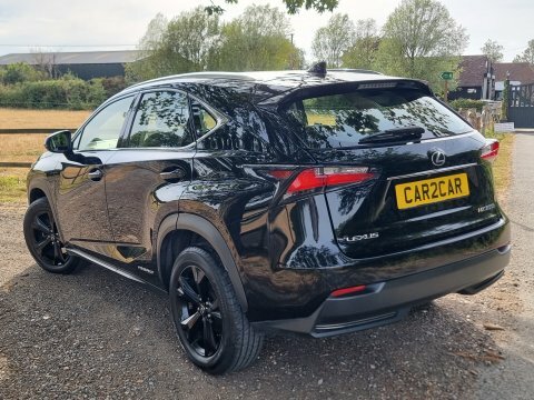 Lexus NX 2.5 300H Sport E-cvt 4Wd Euro 6 Ss Grey #8