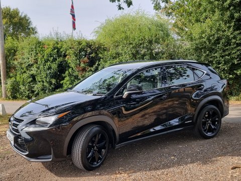 Lexus NX 2.5 300H Sport E-cvt 4Wd Euro 6 Ss Grey #15