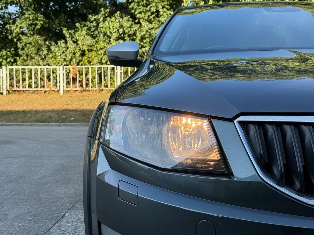 Skoda Octavia 2.0 Tdi Scout Dsg 4Wd Euro 6 Ss Silver #16