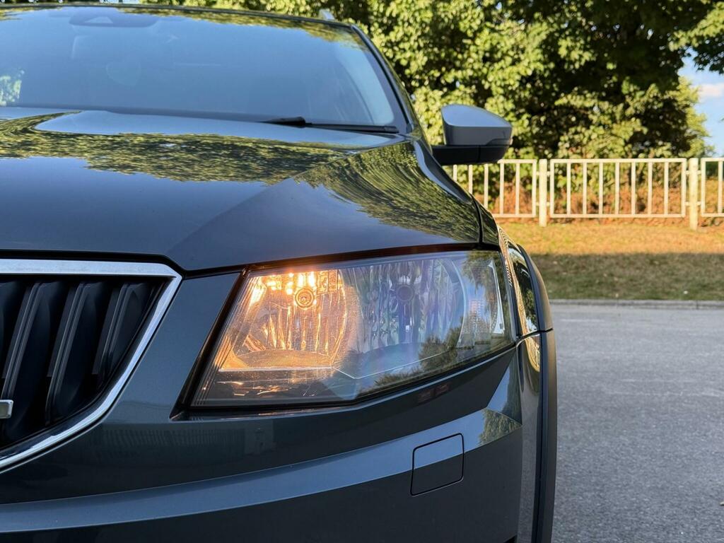 Skoda Octavia 2.0 Tdi Scout Dsg 4Wd Euro 6 Ss Silver #17