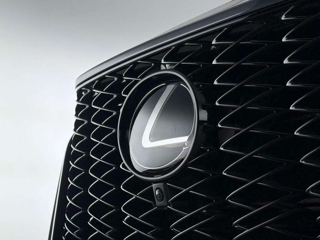 Lexus NX 2.5 350H F Sport E-cvt 4Wd Euro 6 Ss Grey #6