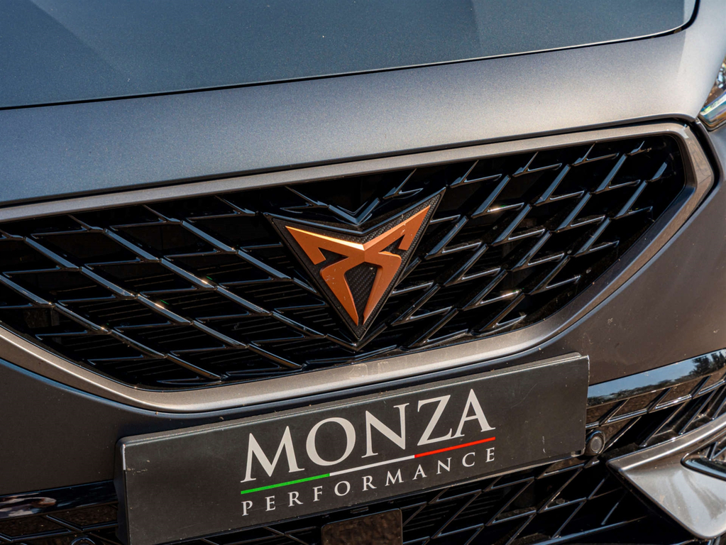 Cupra Formentor Vz3 Tsi 4Drive 4Wd #5