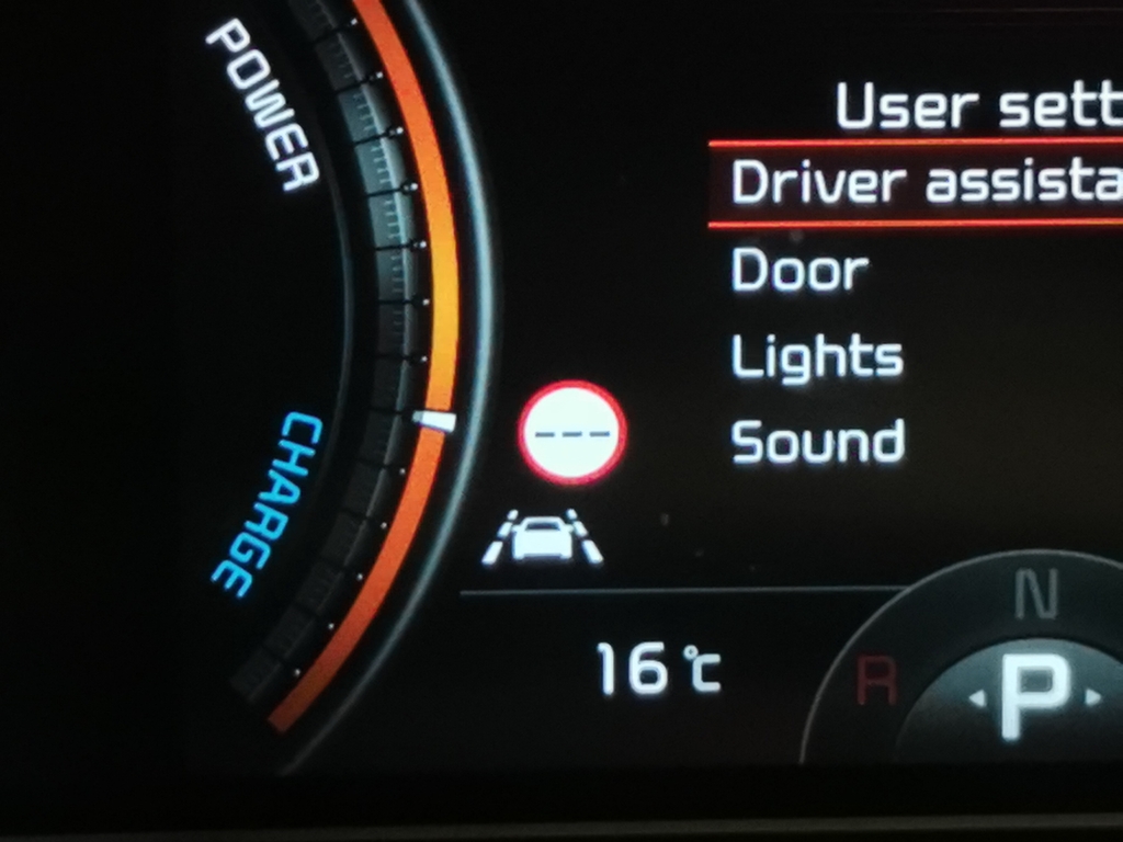 Kia e-Niro 150Kw 3 64Kwh Estate Blue #37