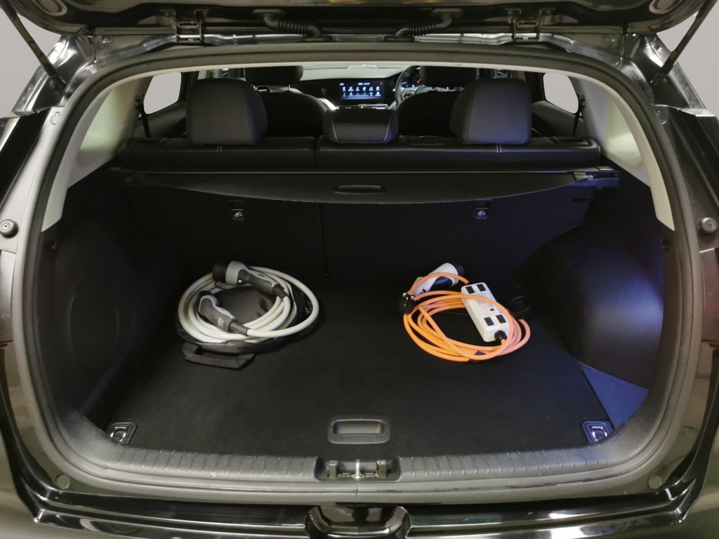 Kia e-Niro 150Kw 3 64Kwh Estate Blue #19