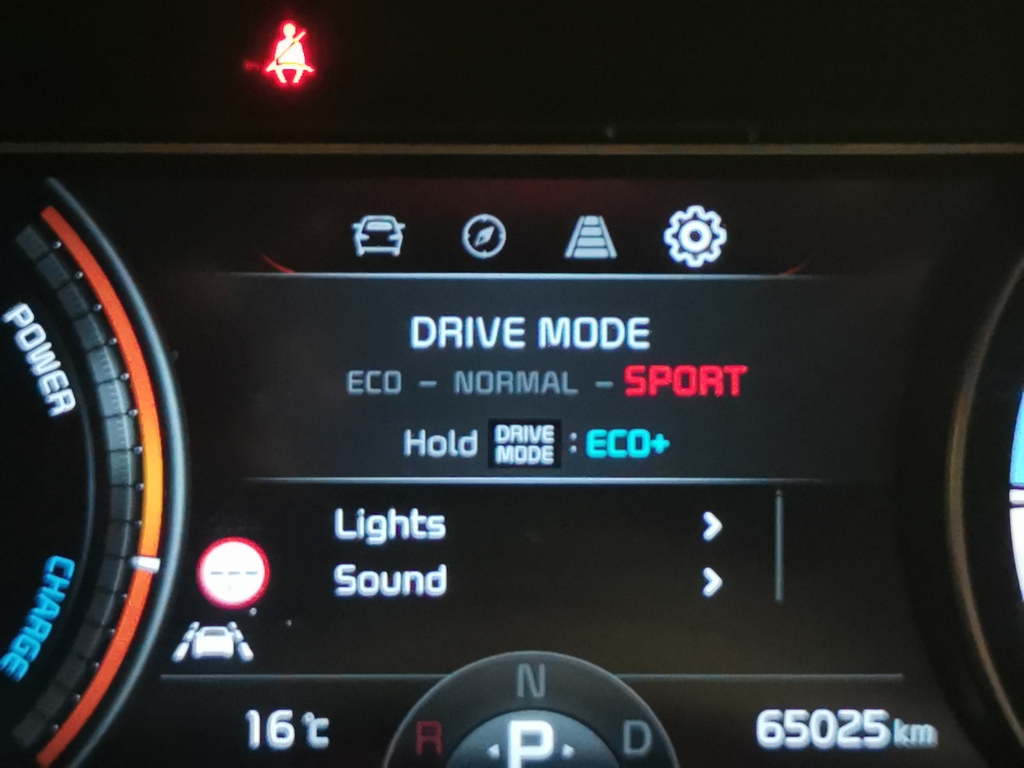 Kia e-Niro 150Kw 3 64Kwh Estate Blue #28