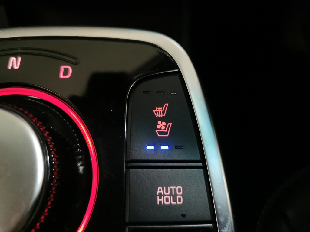 Kia e-Niro 150Kw 3 64Kwh Estate Blue #32