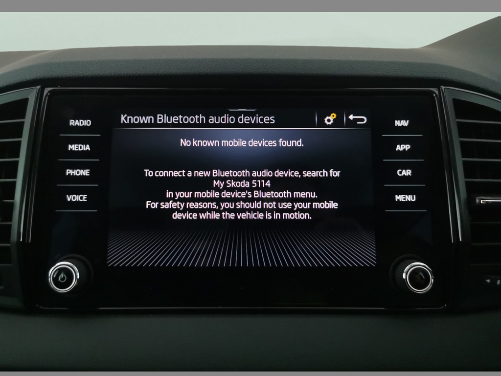 Skoda Karoq 1.5 Tsi Sportline Edition Dsg Grey #22