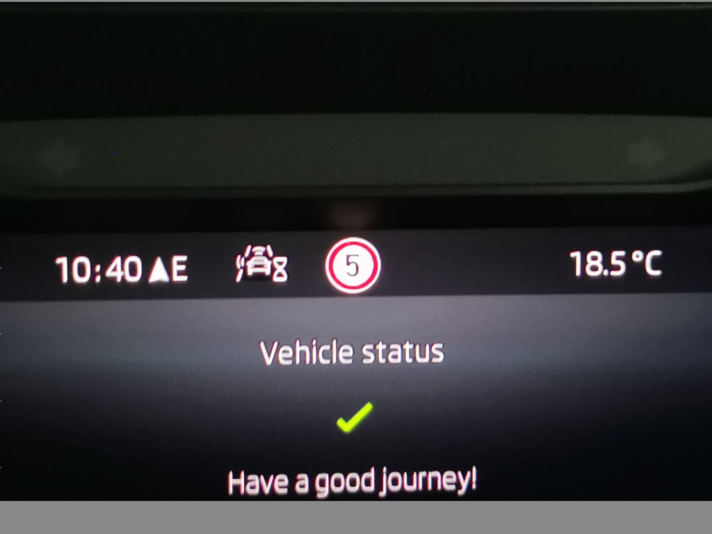 Skoda Karoq 1.5 Tsi Sportline Edition Dsg Grey #29