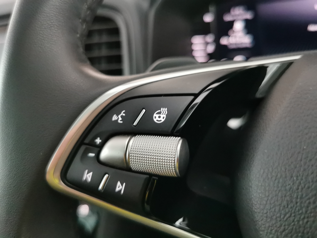 Skoda Karoq 1.5 Tsi Sportline Edition Dsg Grey #27