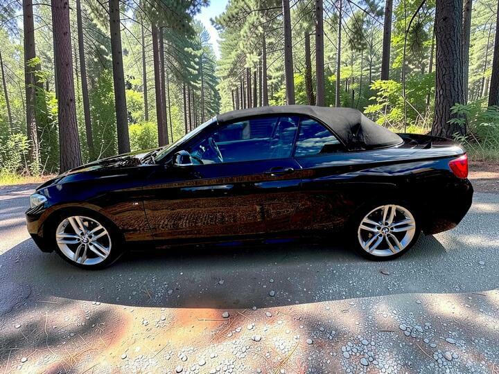 BMW 2 Series 1.5 218I M Sport 134 Bhp Blue #8