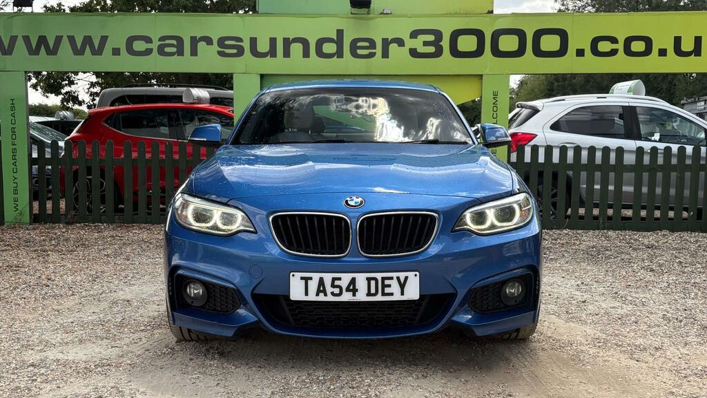BMW 2 Series 2.0 220D M Sport Euro 6 Ss TA54DEY Blue #2