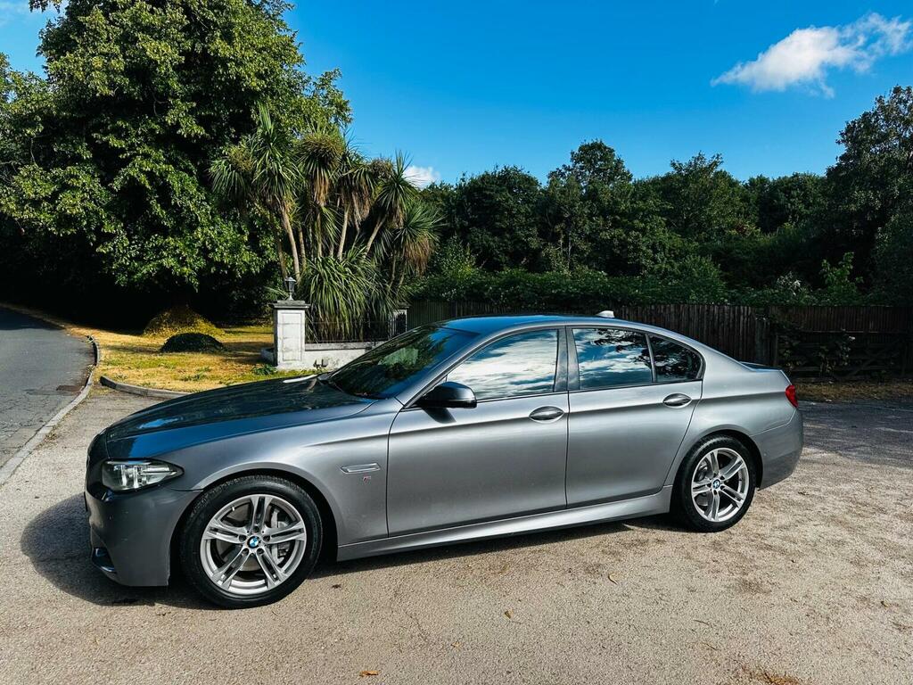 BMW 5 Series 3.0 530D M Sport Euro 6 Ss Grey #6