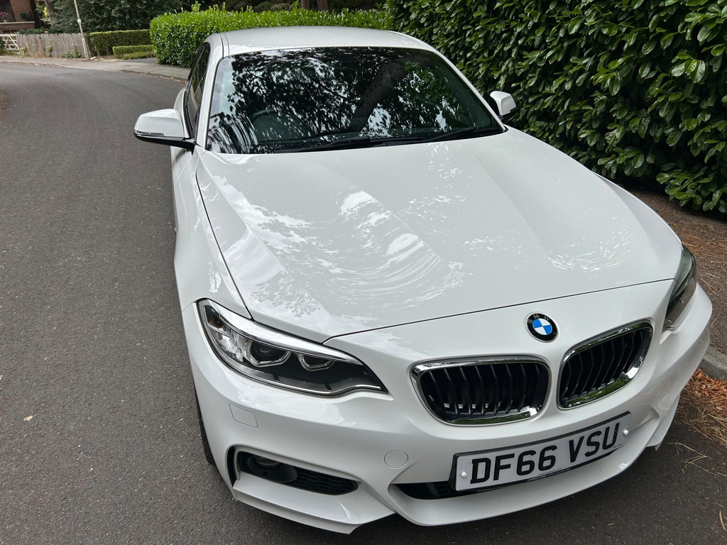 BMW 2 Series 2.0 M Sport Euro 6 Ss #6