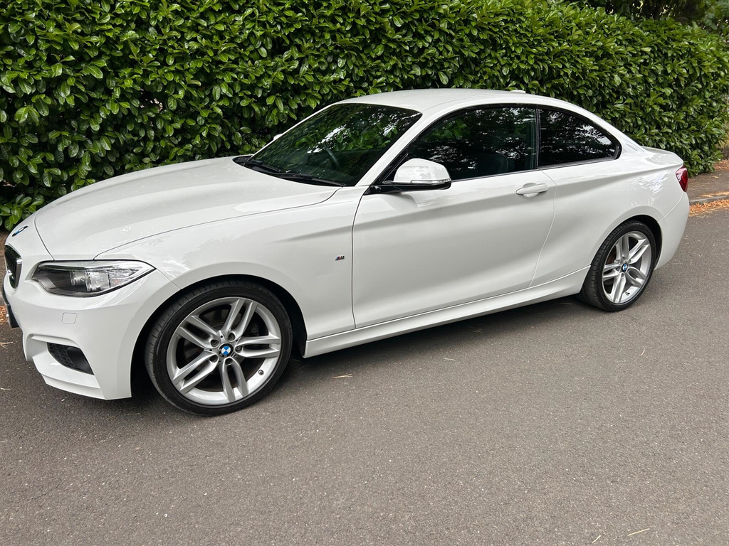 BMW 2 Series 2.0 M Sport Euro 6 Ss #4