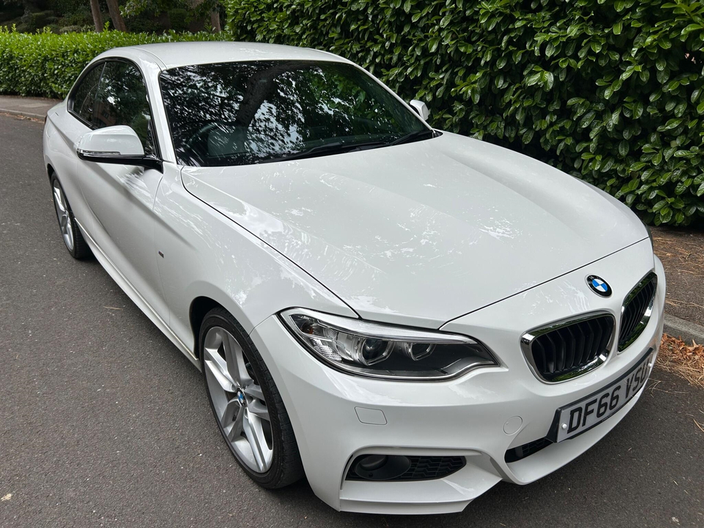 BMW 2 Series 2.0 M Sport Euro 6 Ss
