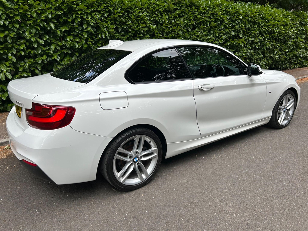 BMW 2 Series 2.0 M Sport Euro 6 Ss #2