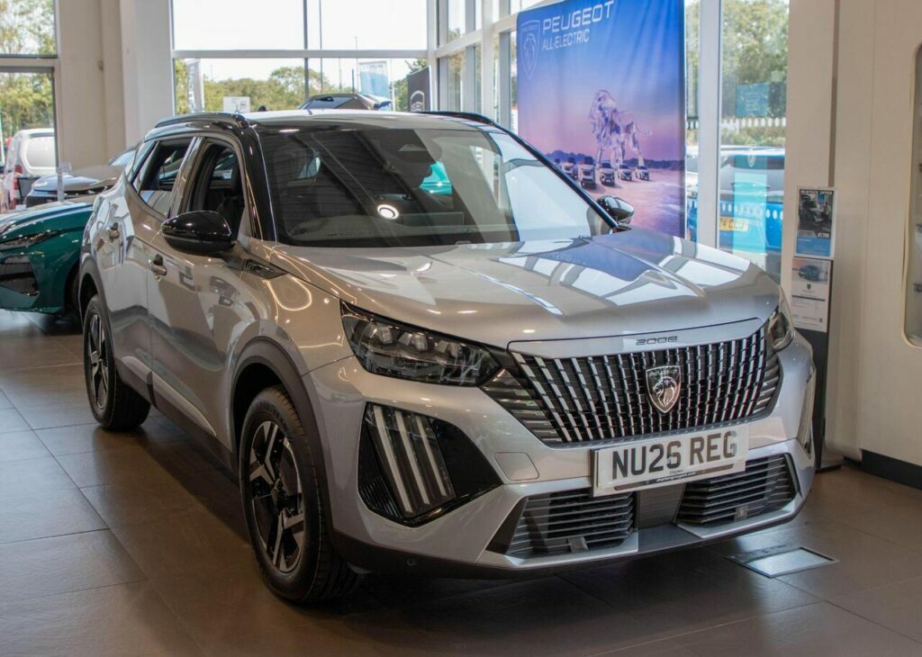 Peugeot 2008 Suv Grey #3