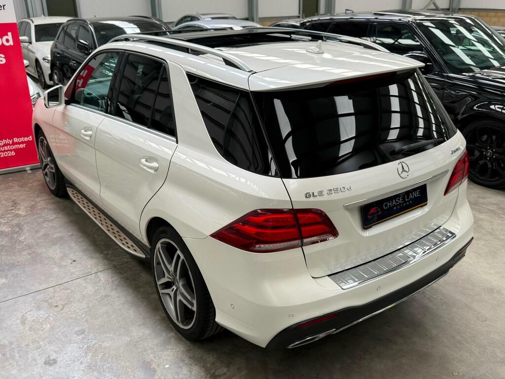 Mercedes-Benz GLE Class Gle 250 D 4Matic Amg Line Silver #11