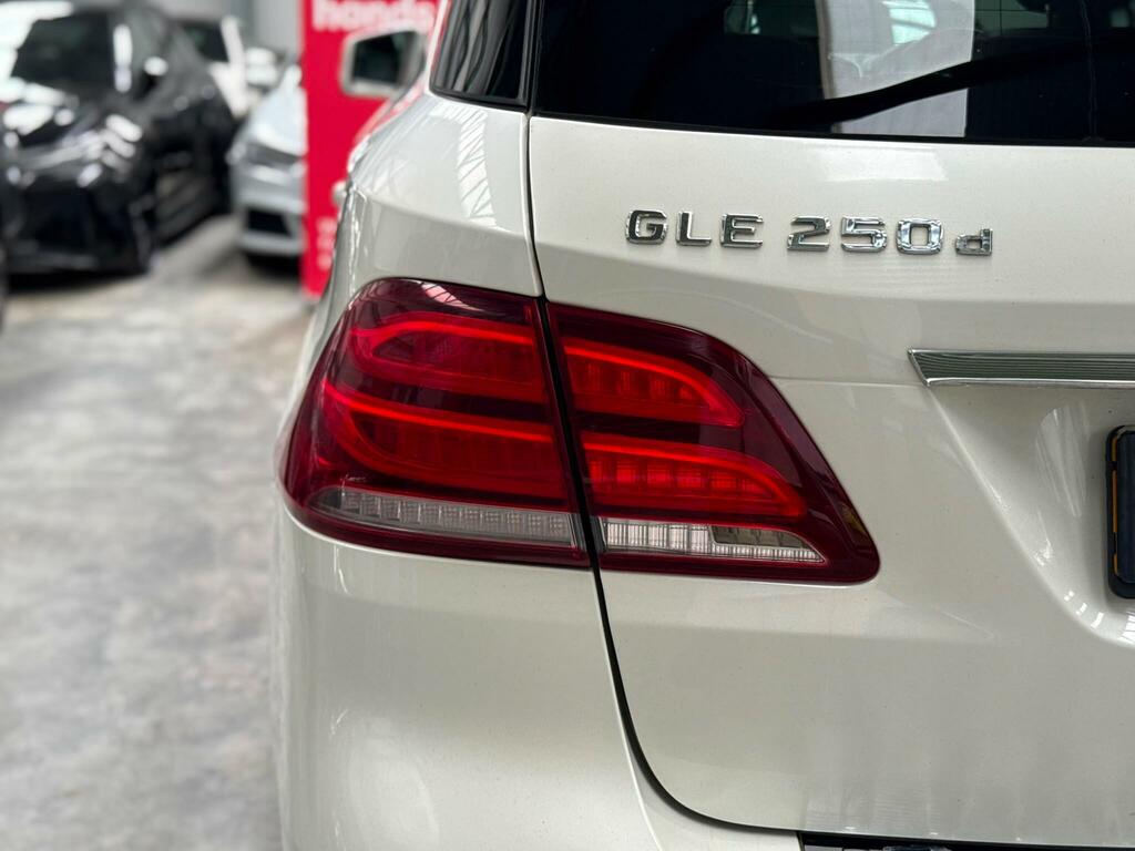 Mercedes-Benz GLE Class Gle 250 D 4Matic Amg Line Silver #50