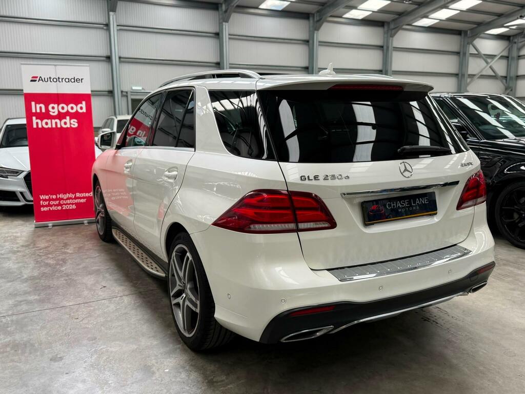 Mercedes-Benz GLE Class Gle 250 D 4Matic Amg Line Silver #10