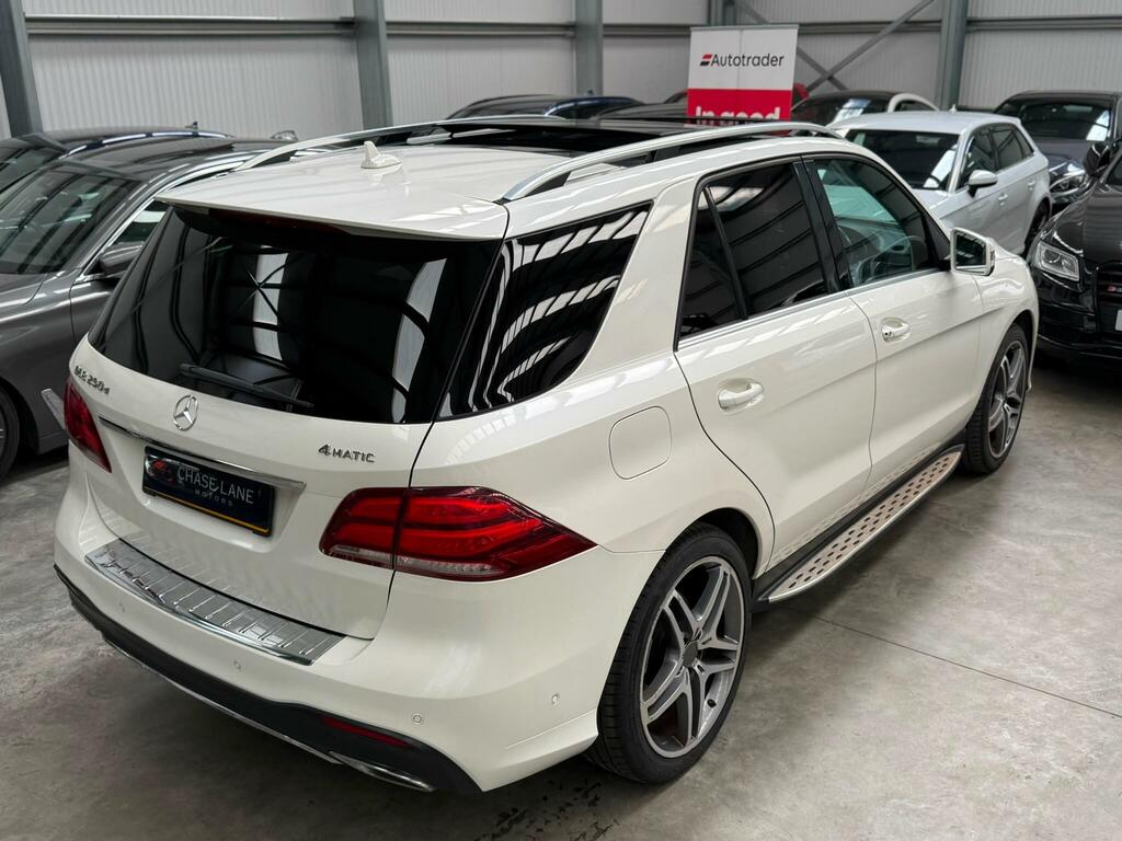 Mercedes-Benz GLE Class Gle 250 D 4Matic Amg Line Silver #15