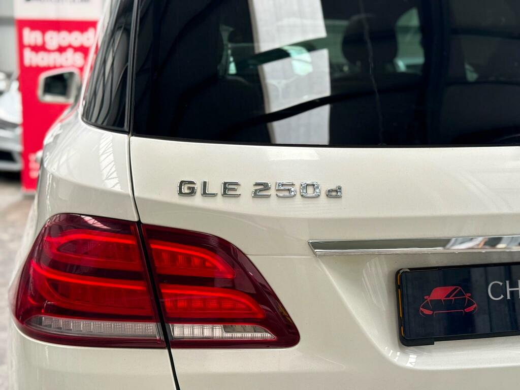 Mercedes-Benz GLE Class Gle 250 D 4Matic Amg Line Silver #51