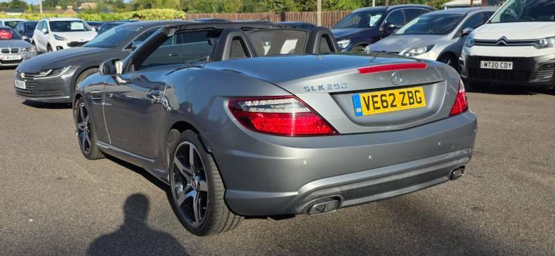 Mercedes-Benz SLK Slk 250 Cdi Blueefficiency Amg Sport Tip Silver #3