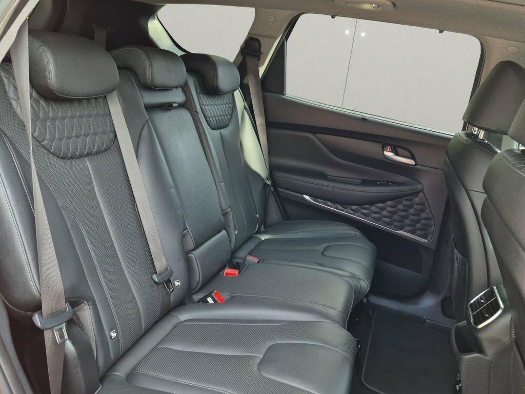 Hyundai Santa Fe Santa Fe Premium Se Crdi Black #27