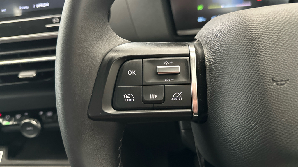 Citroen e-C4 50Kwh Sense 7.4Kw Charger Brown #14