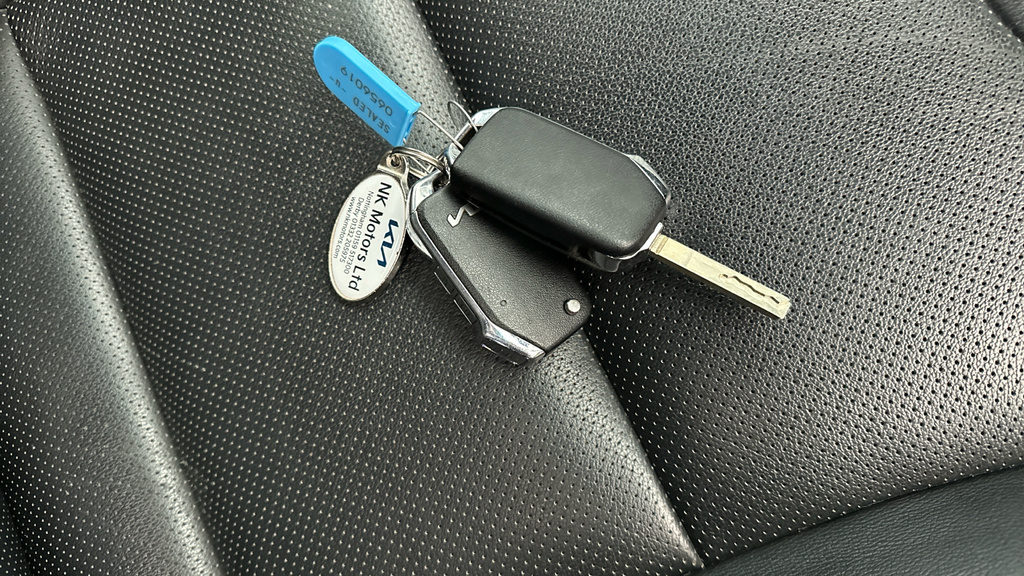 Kia Niro 1.6H Gdi 3 Dct Euro 6 Ss Red #30