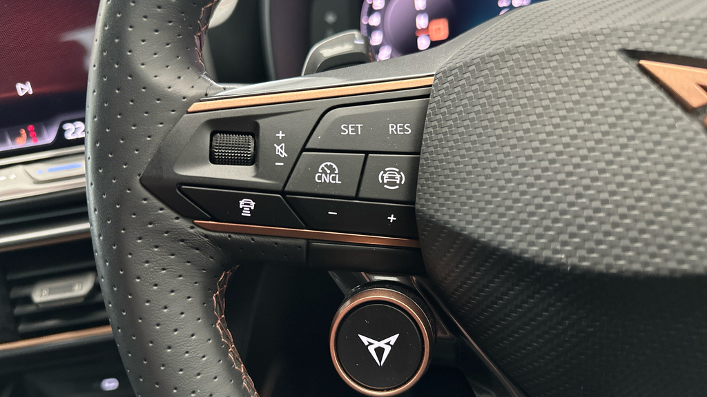 Cupra Formentor 2.0 Tsi Vz3 Suv Dsg 4Drive Grey #14