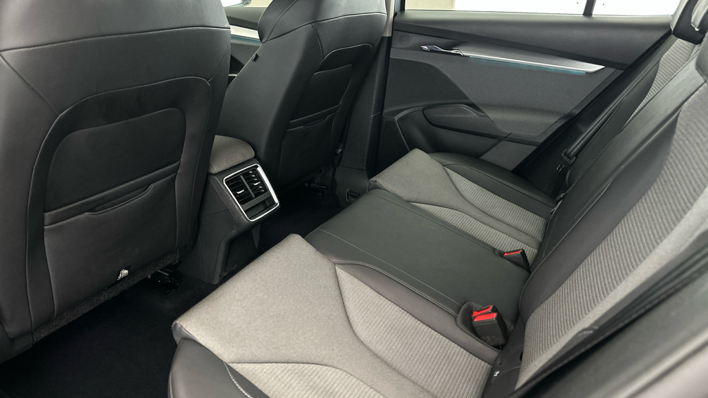 Skoda ENYAQ 80 Ecosuite Grey #21