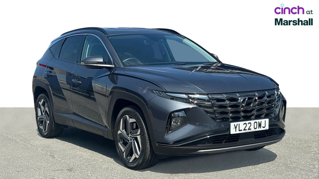Hyundai Tucson Premium T-gdi Hev Brown #1