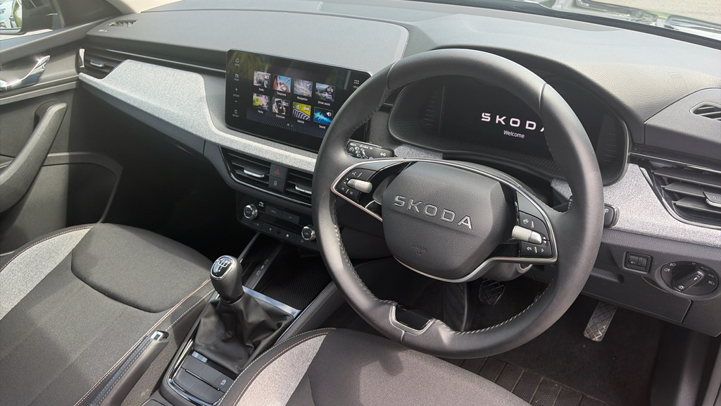 Skoda Kamiq Se L Edition Grey #10