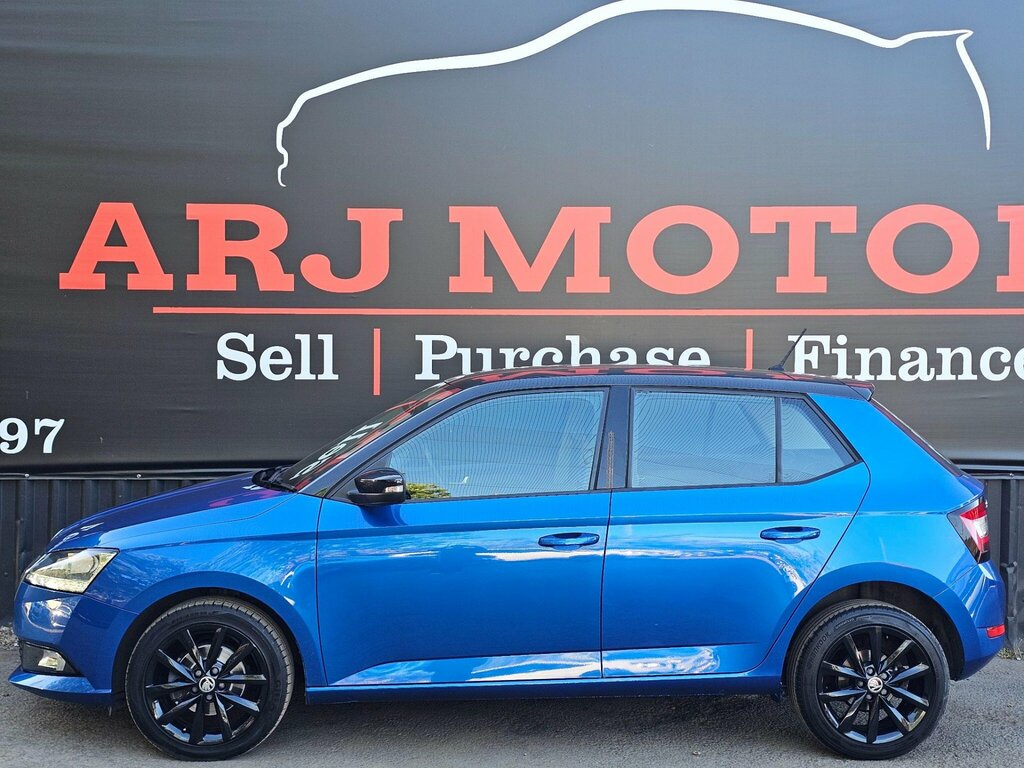 Skoda Fabia 1.0 Tsi 110 Monte Carlo Dsg Grey #9