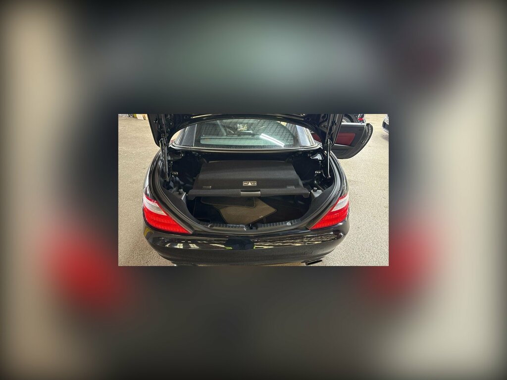 Mercedes-Benz SLK Blueefficiency Amg Sport Ed125 Black #8