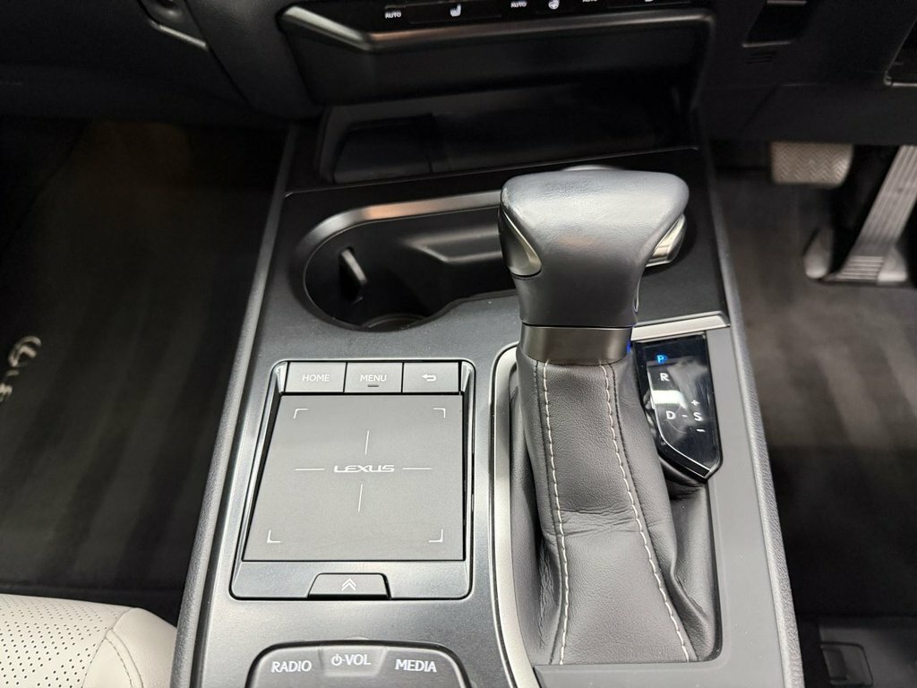 Lexus UX 250H F-sport Takumi Pack Black #22
