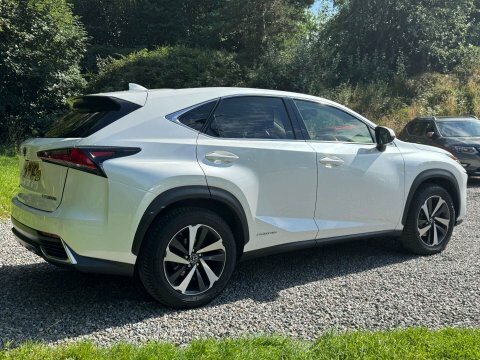 Lexus NX Takumi Cvt 4Wd White #3
