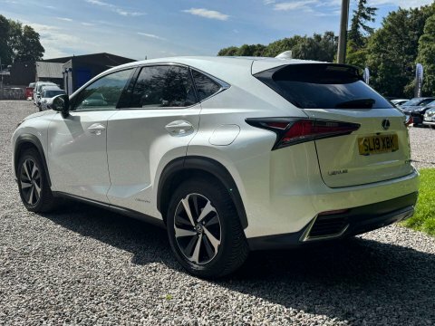 Lexus NX Takumi Cvt 4Wd White #5