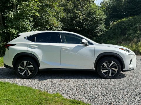 Lexus NX Takumi Cvt 4Wd White #2