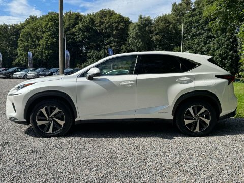 Lexus NX Takumi Cvt 4Wd White #6