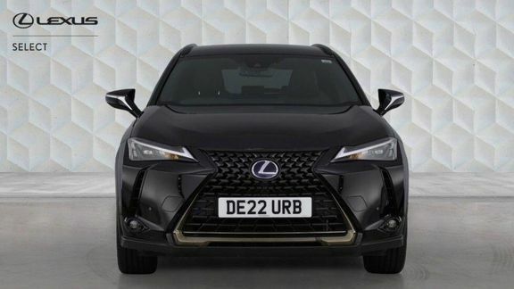 Lexus UX 250H 2.0 Cvt Premium Sport Edition Black #32