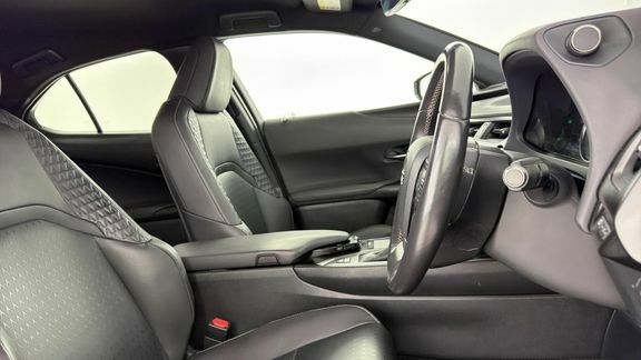 Lexus UX 250H 2.0 Cvt Premium Sport Edition Black #13