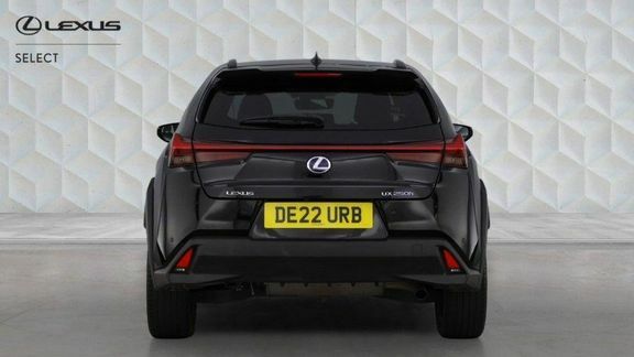 Lexus UX 250H 2.0 Cvt Premium Sport Edition Black #29