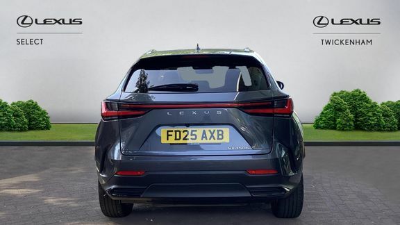 Lexus NX Nx450h Premium Pan Grey #5