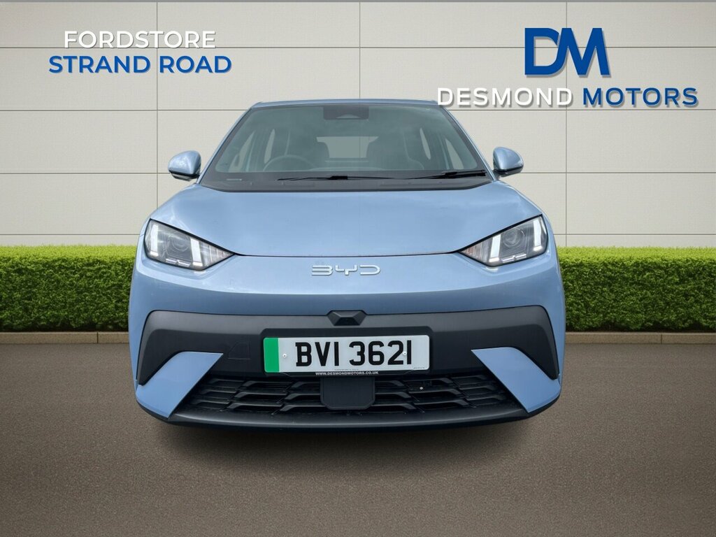 Byd Dolphin Surf Active Blue #3
