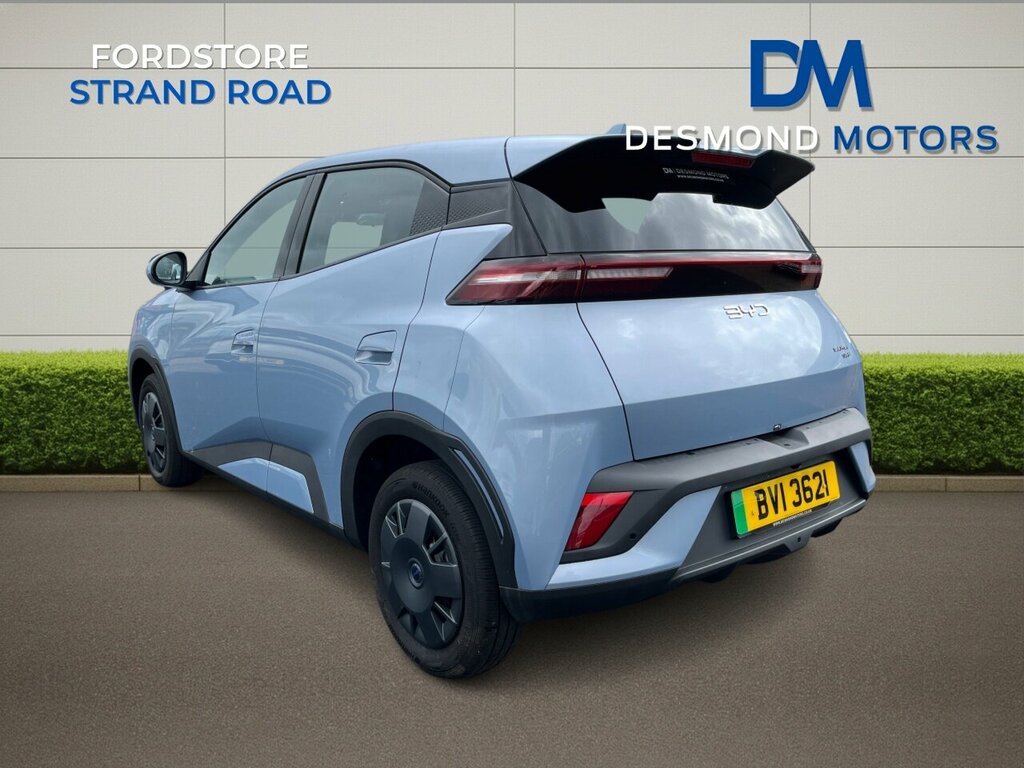Byd Dolphin Surf Active Blue