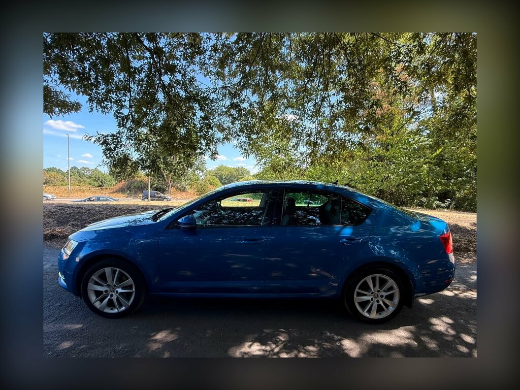 Skoda Octavia 2.0 Tdi Se L Euro 6 Ss Blue #6