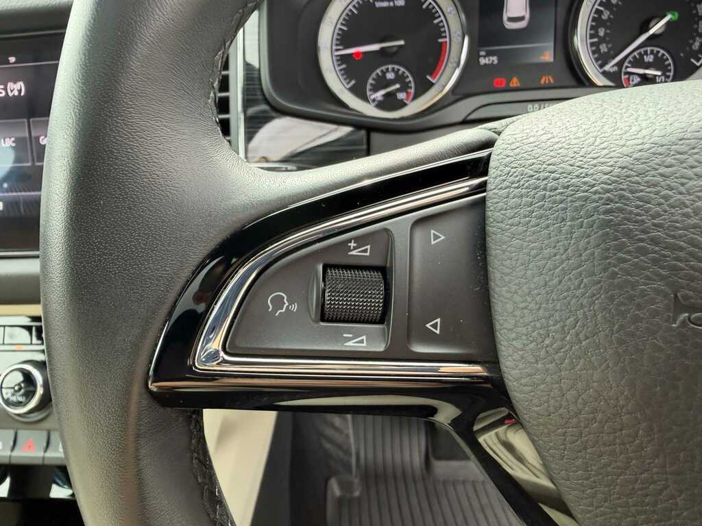 Skoda Kodiaq Se L Black #28